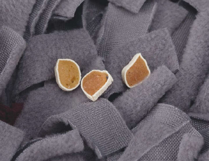 TRIXIE Activity Schnüffelteppich